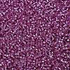 MIYUKI Delica Beads SEED-MY11-DB2156-3