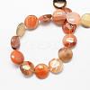 Flat Round Gemstone Natural Red Agate Stone Beads Strands X-G-S110-03-2