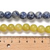 Natural Blue Spot Jasper/Flower Amazonite/Labradorite/Sesame Jasper/Glass Beads Strands G-P562-C-03-5