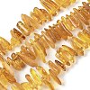 Natural Amber Beads Strands G-L095-D01-05-2