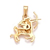 Ion Plating(IP) 304 Stainless Steel Pendants STAS-D165-14G-02-2