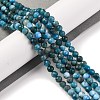 Natural Apatite Beads Strands G-F770-C02-02-2
