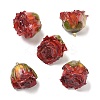 Brass Epoxy Resin Pendants X-FIND-D043-01G-02-1