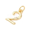 Brass Micro Pave Cubic Zirconia Pendants KK-D019-28G-02-2