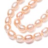 Natural Cultured Freshwater Pearl Beads Strands PEAR-N012-06F-4