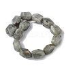Natural Labradorite Beads Strands G-F743-04D-3