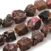 Raw Rough Natural Rhodonite Beads Strands G-Z087-B13-2