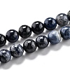 Natural Dumortierite Quartz Beads Strands G-O199-07D-1