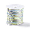 Segment Dyed Nylon Rattail Satin Cords NWIR-A008-01F-1