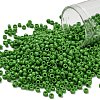 TOHO 8/0 Round Beads SEED-XTR08-0047-1