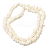 Natural White Mother of Pearl Shell Chip Bead Strands G-M205-63-4