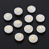 Natural Freshwater Shell Beads SHEL-N003-22-09-1