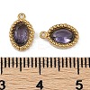 Ion Plating(IP) 304 Stainless Steel Micro Pave Cubic Zirconia Charms STAS-K256-19G-01-3
