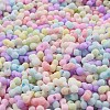 Macaron Color Opaque Frosted Glass Seed Beads X-SEED-K009-12B-01-3
