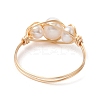 Natural Pearl Finger Rings RJEW-JR00604-01-4