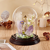 Glass Dome Cover ODIS-WH0079-021A-4