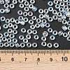 TOHO 6/0 Round Beads SEED-TR06-0170-3