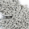 Opaque Colours Luster Glass Seed Beads SEED-P008-01C-11-1