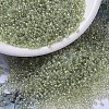 MIYUKI Round Rocailles Beads X-SEED-G007-RR1135-1