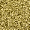 (Repacking Service Available) Glass Seed Beads SEED-C021-4mm-122-2