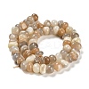 Natural Multi-Moonstone Beads Strands G-G053-C11-01-3