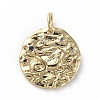 Brass Micro Pave Cubic Zirconia Pendants ZIRC-G157-03B-01G-1