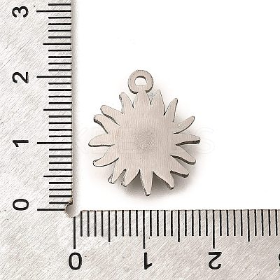 304 Stainless Steel Pendants STAS-P381-07P-1