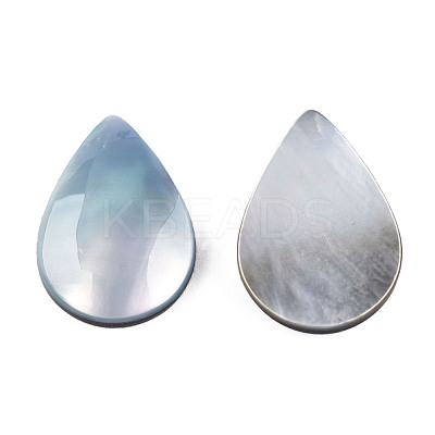 Natural Turbo Cornulus/Top Shells Cabochons SSHEL-N003-157A-1