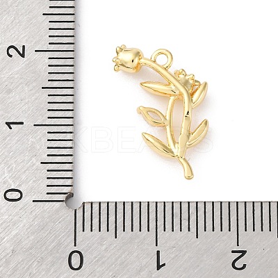 Brass Pave Clear Cubic Zirconia Pendants LS-KK-V016-02G-1