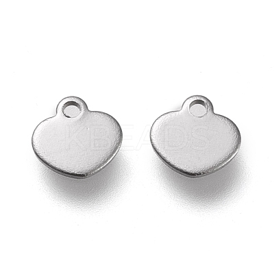 Non-Tarnish 304 Stainless Steel Charms STAS-K195-14P-1