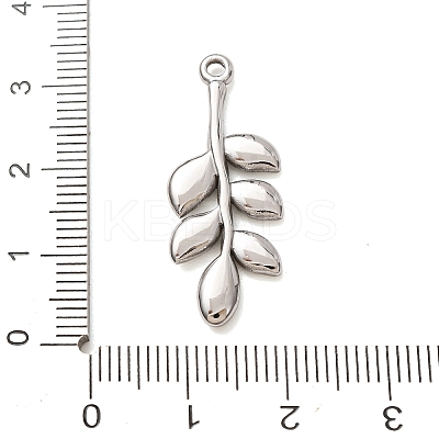 304 Stainless Steel Pendants SA-CBAB6EC-19P-01-1