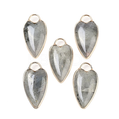 Natural Labradorite Pendants G-G193-02G-05-1