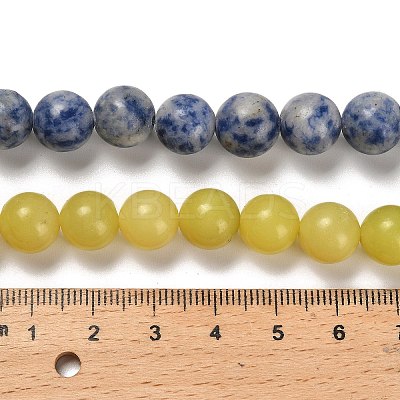 Natural Blue Spot Jasper/Flower Amazonite/Labradorite/Sesame Jasper/Glass Beads Strands G-P562-C-03-1