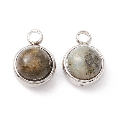 Natural Labradorite Charms G-K325-01P-04-1