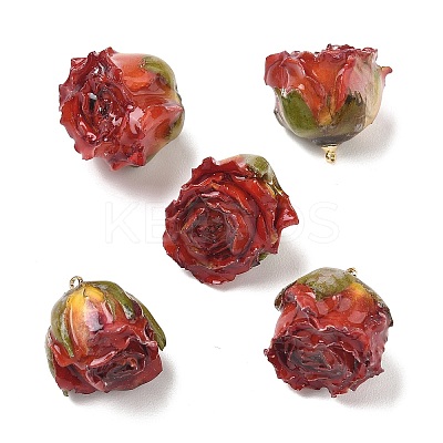 Brass Epoxy Resin Pendants X-FIND-D043-01G-02-1