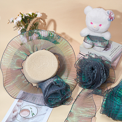 10M Polyester Pleated Ribbon Edged Trimming OCOR-WR0001-89B-1