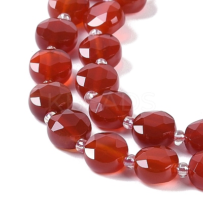 Natural Carnelian(Dyed & Heated) Beads Strands G-N342-19-1