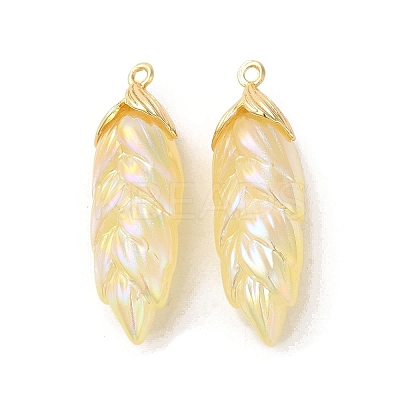 Rainbow Iridescent Plating Resin Pendants LS-RESI-C047-03C-G-1