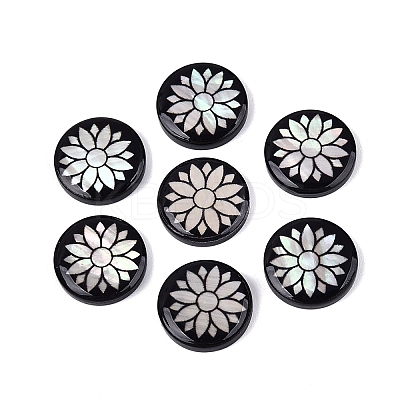 Acrylic & Natural Freshwater Shell Cabochons OACR-N164-06-1
