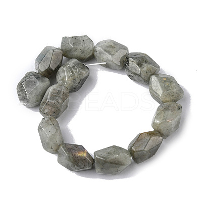 Natural Labradorite Beads Strands G-F743-04D-1