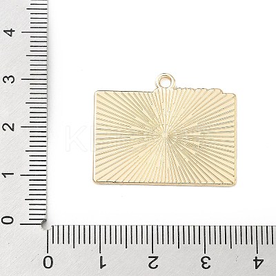 Sports Alloy Enamel Pendants LS-ENAM-I074-01G-08-1