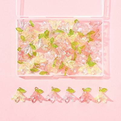50Pcs Transparent Acrylic Pendants PALLOY-FS00043-04-1