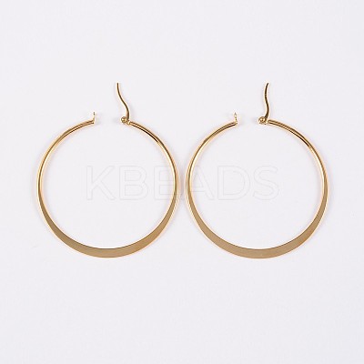 304 Stainless Steel Hoop Earrings EJEW-P040-20-B-1