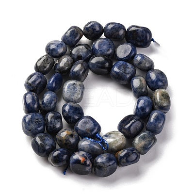 Natural Sodalite Beads Strands G-G146-A03-02-1