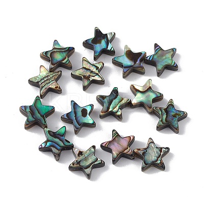 Natural Abalone Shell/Paua Shell Beads SSHEL-M021-01-1