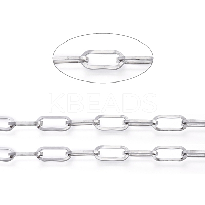 Non-Tarnish 3.28 Feet 304 Stainless Steel Paperclip Chains X-CHS-D030-02P-1