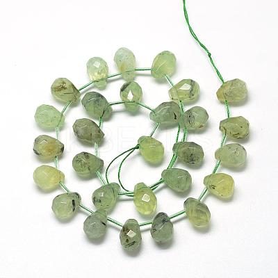 Natural Prehnite Beads Strands G-R435-15J-1