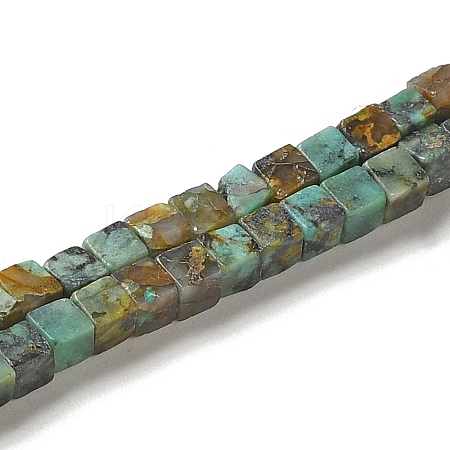 Natural African Turquoise(Jasper) Beads Strands G-B064-A13-1