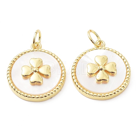Rack Plating Brass Pendants KK-B076-05G-02-1