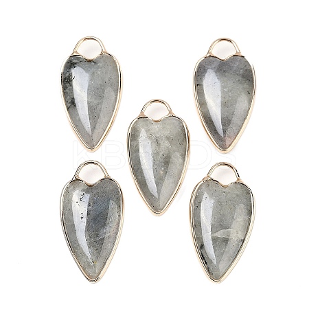 Natural Labradorite Pendants G-G193-02G-05-1